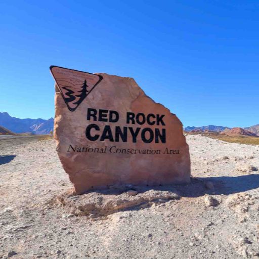 Summerlin Luxury Home Portfolio Example 7